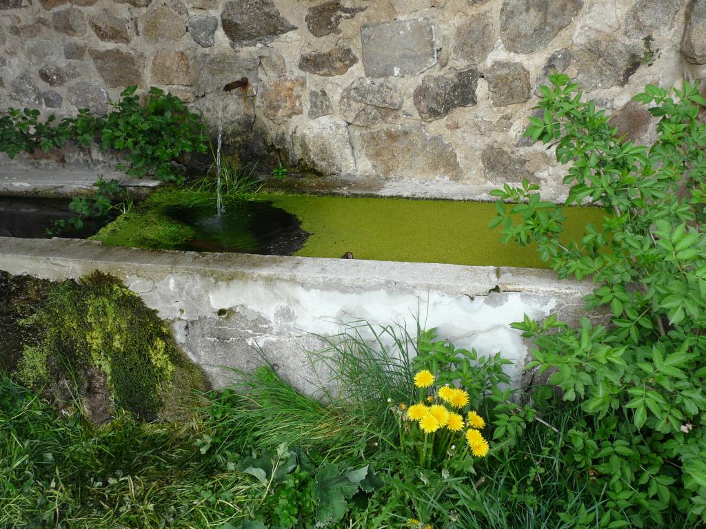 Ardeche, 02-05-09, 17-38.jpg
